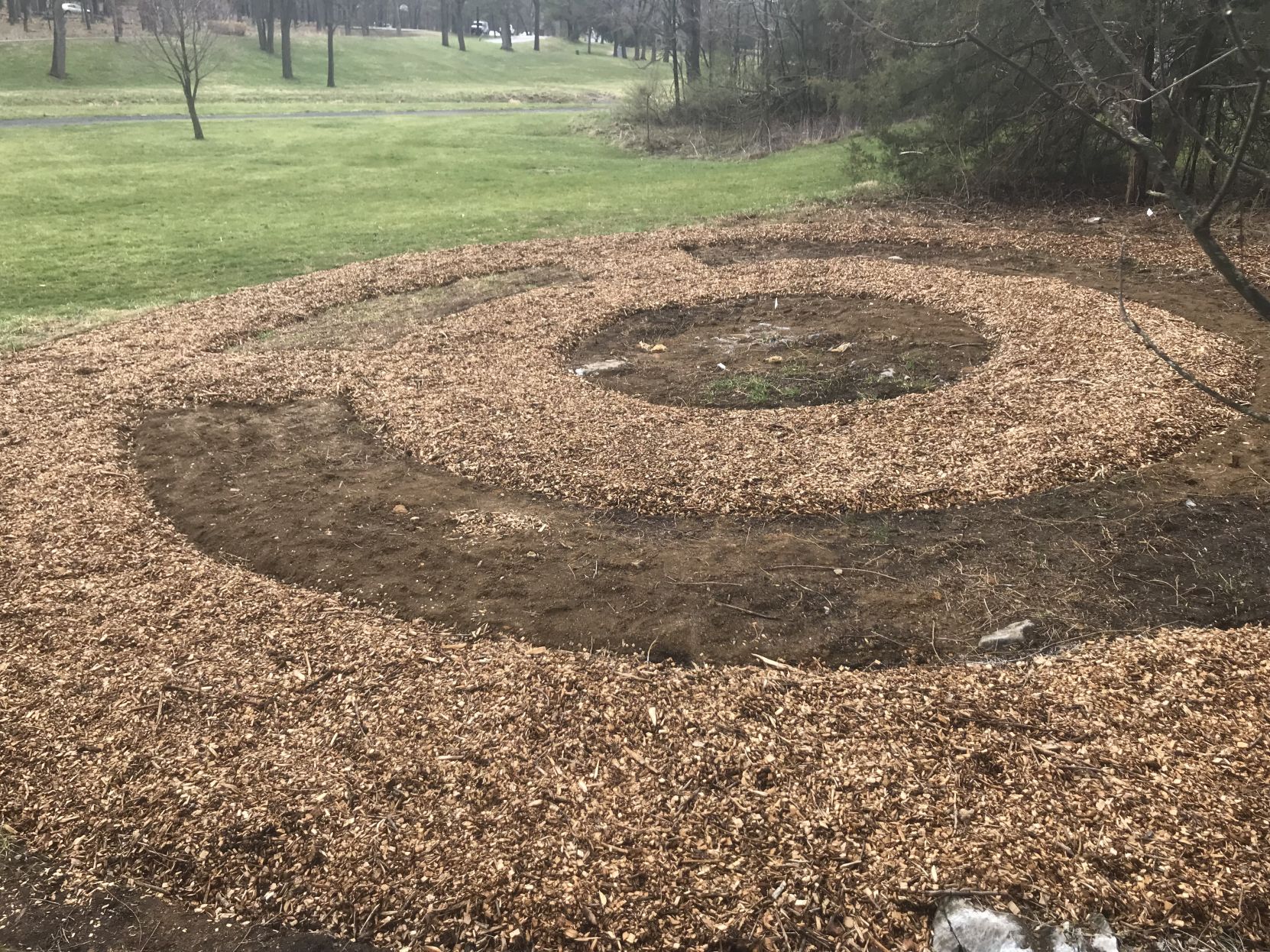 pollinator garden 2